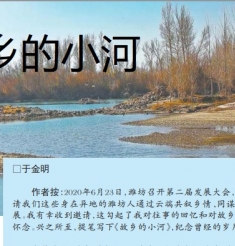 《齐鲁晚报》刊载于金明院士随笔：故乡的小河