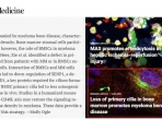 喜讯！山肿质子中心实验室在Science子刊发表封面文章