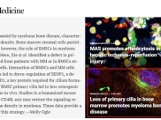 喜讯！山肿质子中心实验室在Science子刊发表封面文章