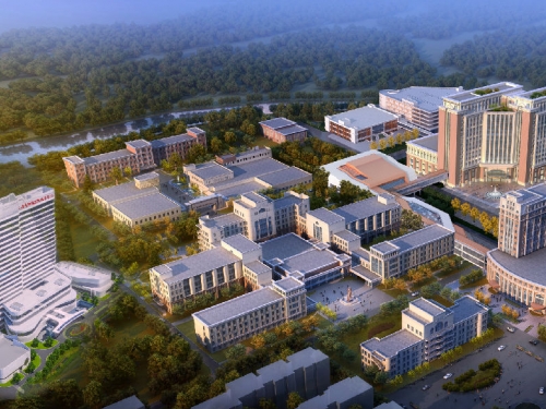 专项引才：2026年海外优青诚邀加盟