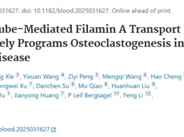 山一大附属肿瘤医院质子中心实验室刘志强教授团队研究成果揭示了骨髓瘤骨病发生的细胞力学生物学机制