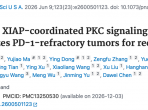 于金明院士团队研究成果发表于国际权威学术期刊PNAS：靶向PKC-XIAP信号轴逆转免疫治疗耐药，为免疫再挑战提供新策略