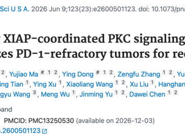 于金明院士团队研究成果发表于国际权威学术期刊PNAS：靶向PKC-XIAP信号轴逆转免疫治疗耐药，为免疫再挑战提供新策略
